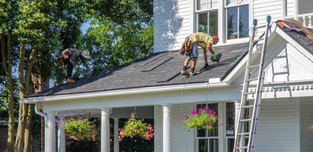 Best Affordable Roof Replacement  in USA